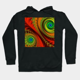 Coat of Many Colors Hoodie